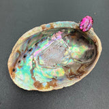 Paua Rings  -by Mhairi Sim - Girl Paua