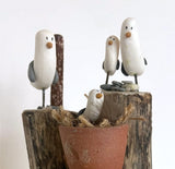 Flock of Gulls with Nest - by Emma Frame