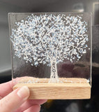 Large Trees - by Kate Doherty - Mauralen Glass