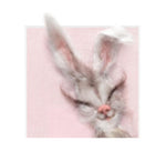 Bunny Greetings Cards- by Lynne McGill - Lin-Pin