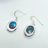Paua Shell in Silver Frame Earrings - by Mhairi Sim - Girl Paua