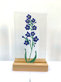 Hand Drawn Collection - by Kate Doherty - Mauralen Glass