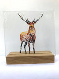 Hand Drawn Collection - by Kate Doherty - Mauralen Glass