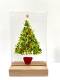 Christmas Trees - medium