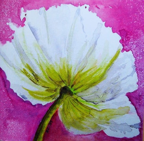 Pink Poppy Print by - Annette Robertson