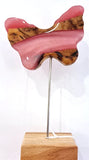 Forever Butterfly - by Wendy Barr - Treehouse Studio