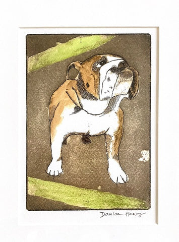 British Bulldog Mounted Print - by Damian Henry
