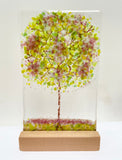 Medium Glass Trees - Mauralen Glass