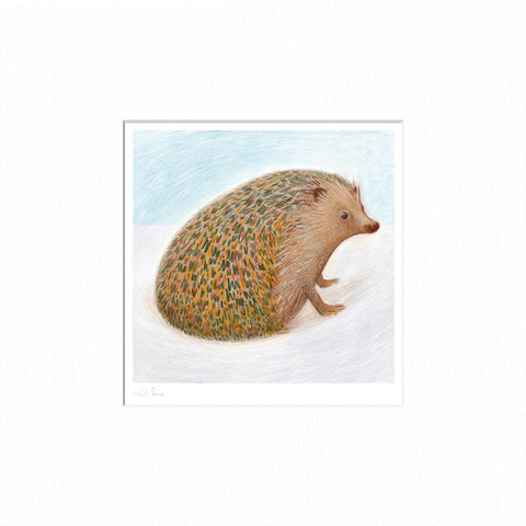 Hedgehog mounted & signed print - by Keith Pirie