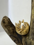 Seagull On A Post - by Emma Frame