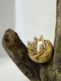 Seagull On A Post - by Emma Frame