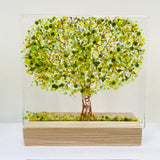 Large Trees - by Kate Doherty - Mauralen Glass