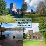Mugdock Cards - by Mhairi Sim Girl Paua