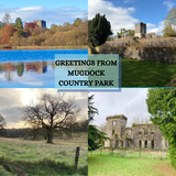 Mugdock Cards - by Mhairi Sim Girl Paua