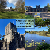Mugdock Cards - by Mhairi Sim Girl Paua