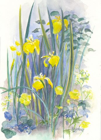 "Yellow Irises" - unframed original watercolour - by Gillian Kingslake