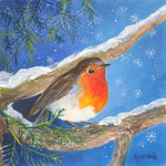 'Sheltering Robin' Framed Original Watercolour by Gillian Kingslake