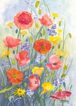 Meadow Poppies - Unframed Original Watercolour By Gillian Kingslake