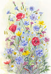 "Wayside flowers" - Unframed Original Watercolour By Gillian Kingslake