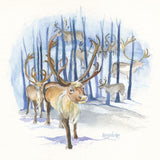 Christmas Cards by Gillian Kingslake