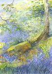 "Dappled Sunshine in the Bluebell Woods" - unframed original watercolour - by Gillian Kingslake