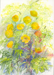 "Wild Poppies" - Unframed Original Watercolour By Gillian Kingslake