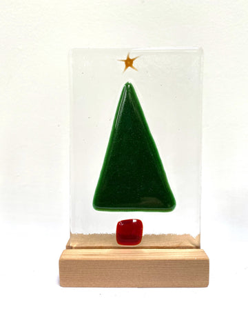 Christmas Trees - medium