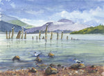 'Terns & Gulls, Lomond Shores' Unframed Original Watercolour By Gillian Kingslake