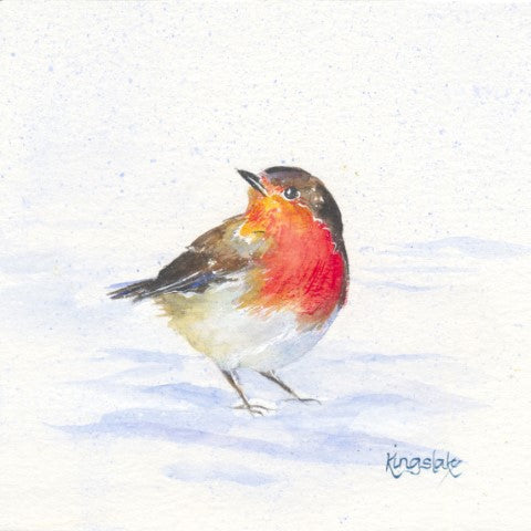 "Robin" Original unframed Watercolour Painting by Gillian Kingslake