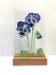 Hand Drawn Collection - by Kate Doherty - Mauralen Glass