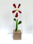 Glass Flowers - by Kate Doherty - Mauralen Glass